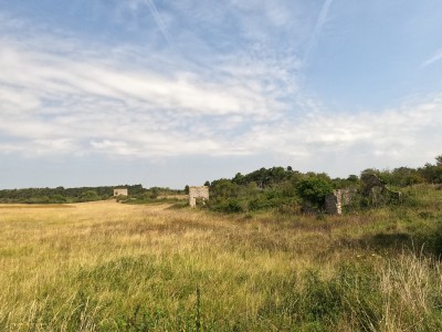  ﻿Ruines à Maves. Département de Loir-et-Cher.