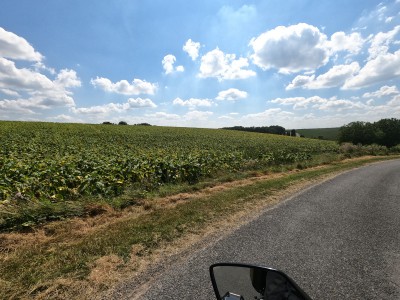  ﻿Département d'Indre-et-Loire.