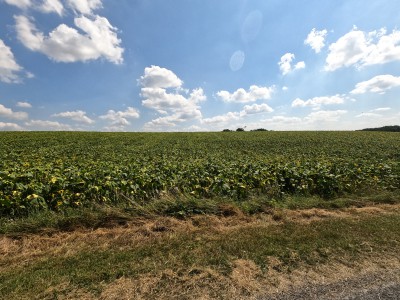  ﻿Département d'Indre-et-Loire.