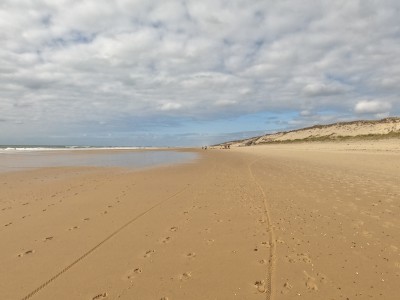  ﻿Lacanau. département de la Gironde.