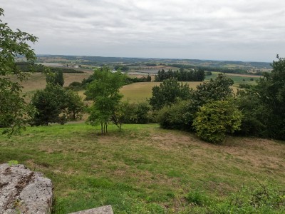  ﻿Village de Tourtrès