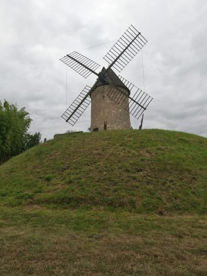  ﻿Village de Tourtrès