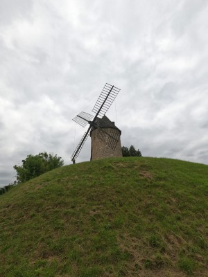  ﻿Village de Tourtrès