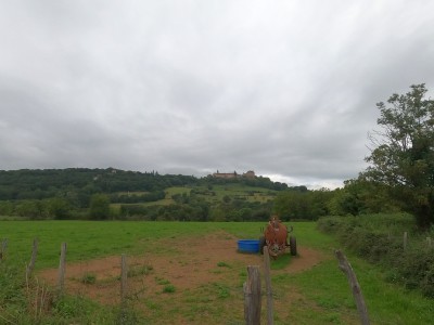  ﻿Environs de Loubressac.