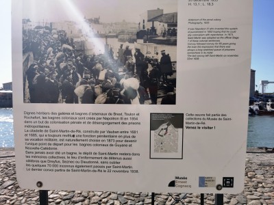  ﻿Visite de l'île de Ré.