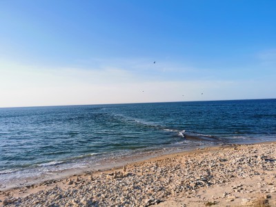  ﻿Visite de l'île de Ré.