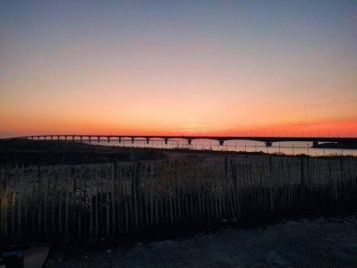  ﻿Visite de l'île de Ré.