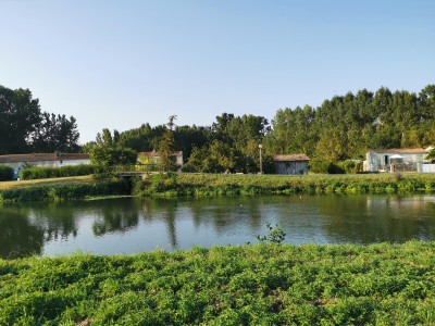  ﻿Visite du Marais Poitevin.