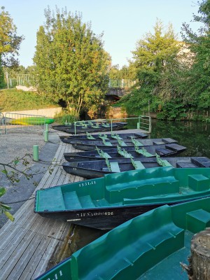  ﻿Visite du Marais Poitevin.