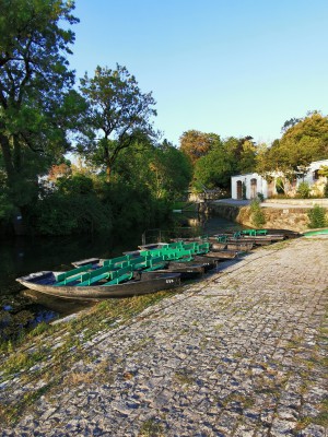  ﻿Visite du Marais Poitevin.