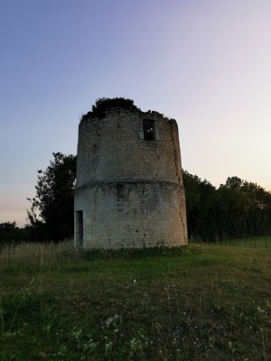  ﻿Visite du Marais Poitevin.