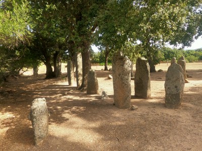  ﻿Alignement de Rinaghju. Corse. 