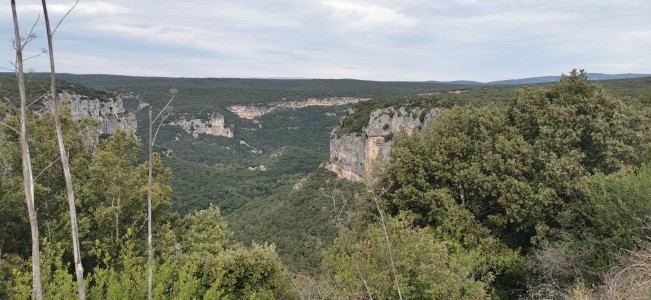  ﻿Les gorges d'Ardèche. 