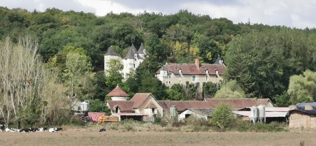  ﻿Jour 2. Château de la Chèze. XVe - XVIIe siècle.