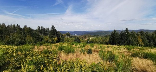  Route des petites crêtes.