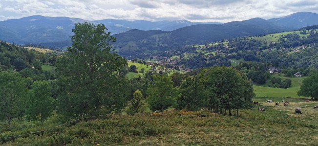  Vosges 2023.