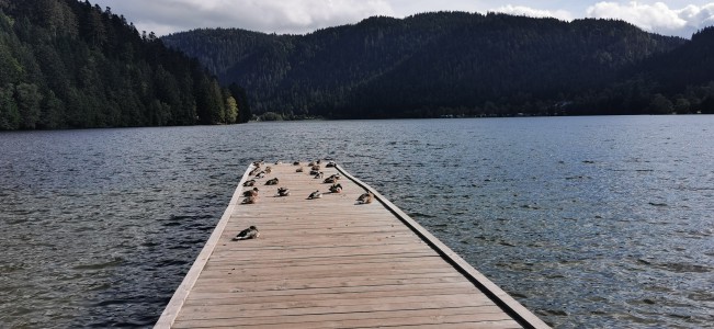  Lac de Longemer.